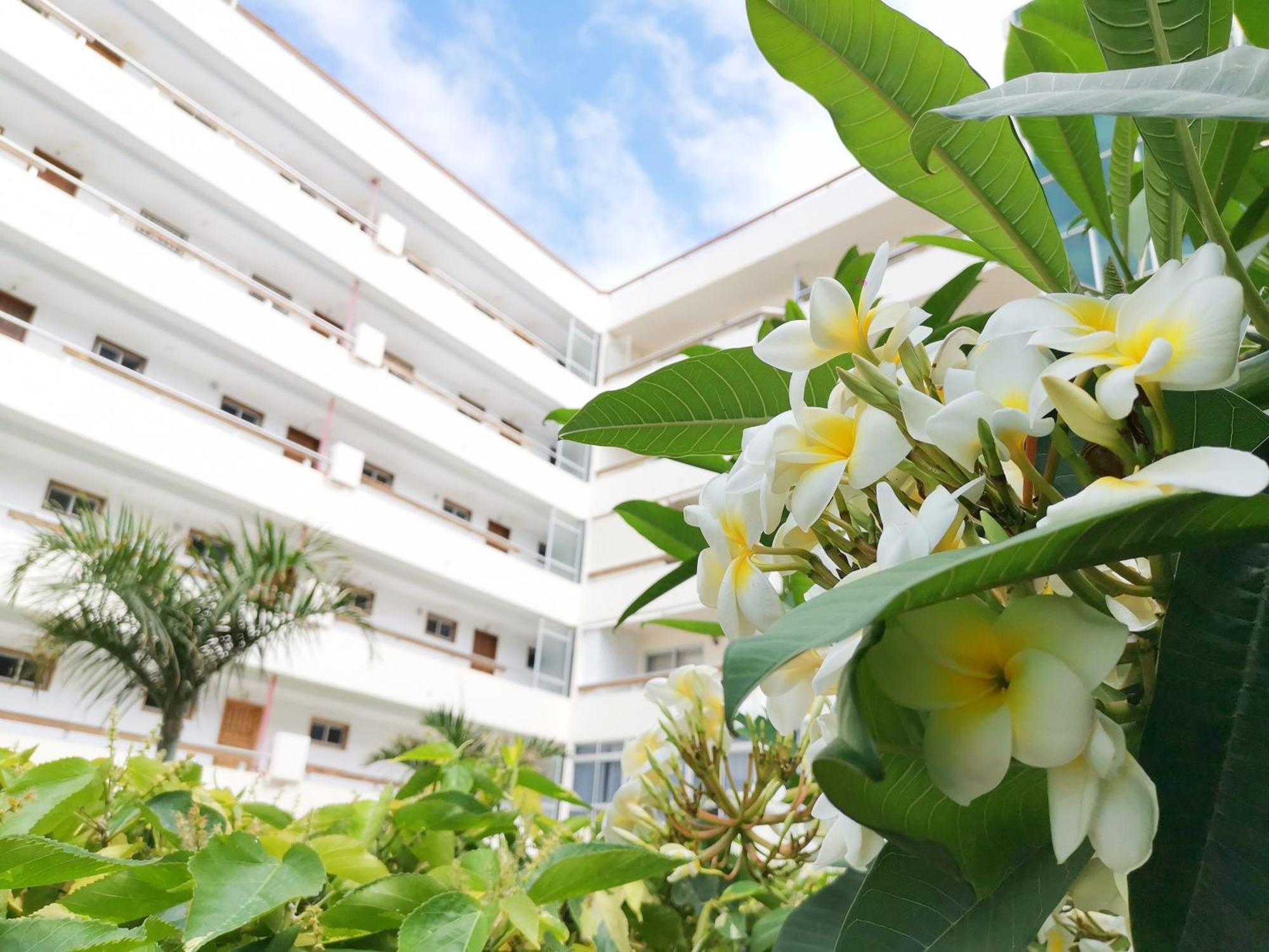 Las Camelias 215 By Pride Holiday Rentals Maspalomas  Exterior foto