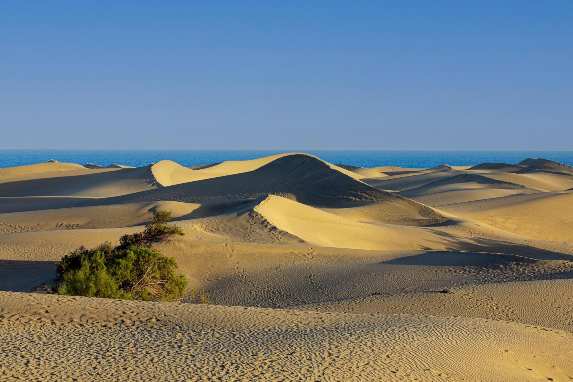 Las Camelias 215 By Pride Holiday Rentals Maspalomas  Exterior foto