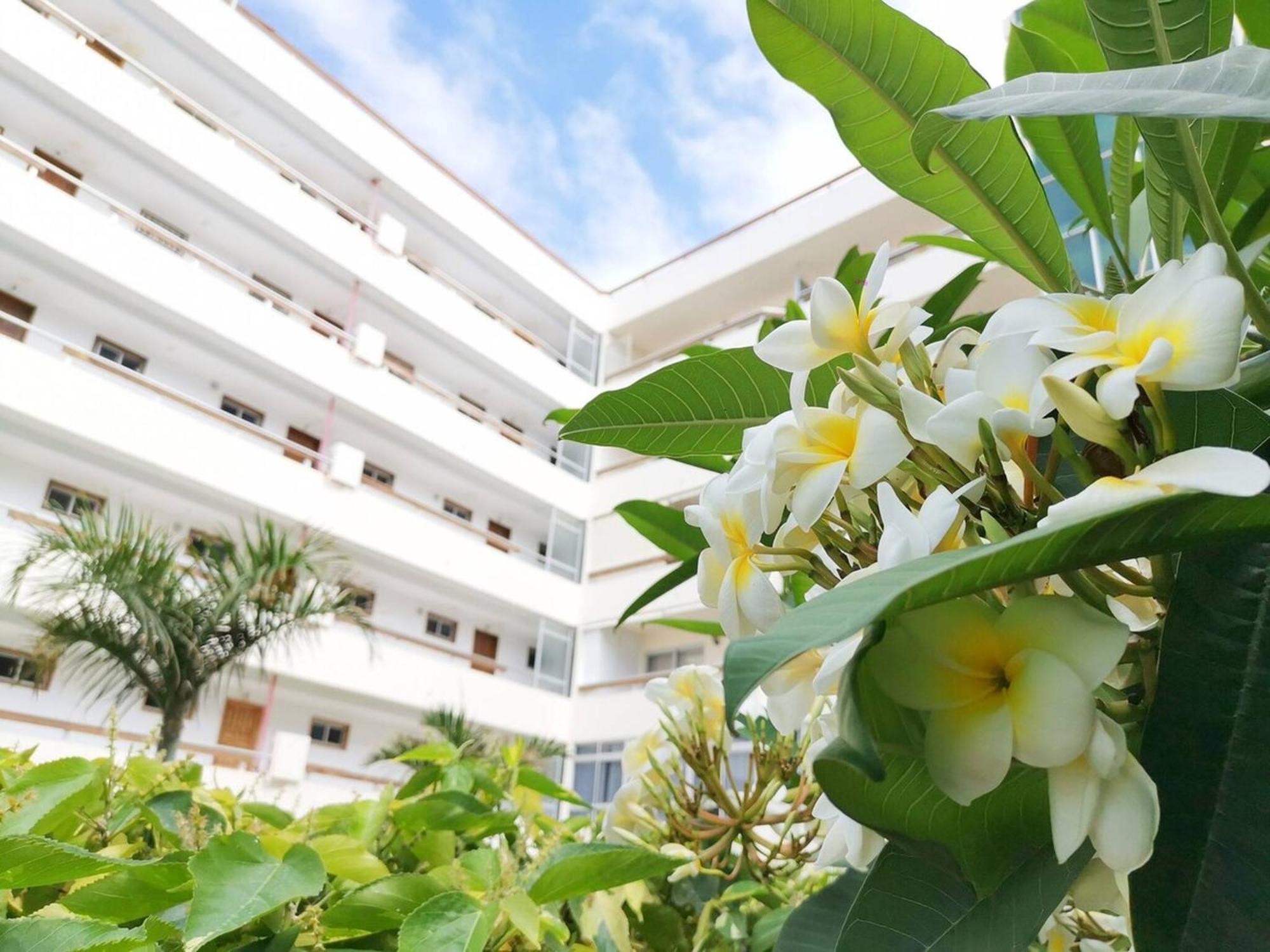Las Camelias 215 By Pride Holiday Rentals Maspalomas  Exterior foto